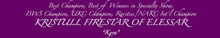 Kyra - Elessar Hounds