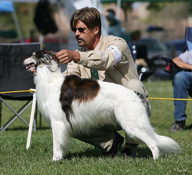 Strider - self-stack2